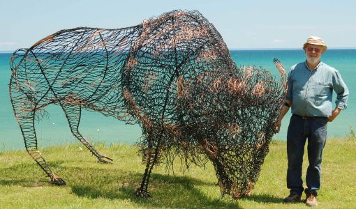 Buffalo  -  6 feet 3 inches high and 10 feet long - tips of the horns are 3 feet apart.