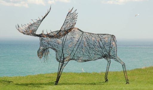 Moose  -  9 feet 1 inches high and the top of the shoulder is 7 feet high.