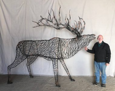 Elk  -  9 feet 1 inches high and 5 feet 5 inches high at the shoulders.