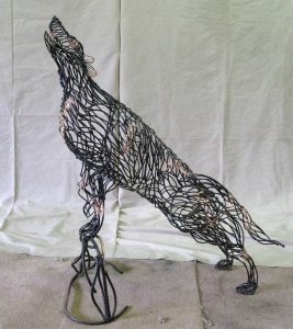 Wolf  -  4 feet 9 inches high and 53 inches long.