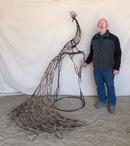Peacock  - with feathers down -  this one is about 6 feet 2 inches high and 5 ft 4 inches wide.