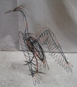Great Blue Heron  - smaller -  34 inches high and 3 feet 11 inches long.