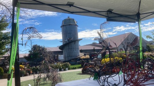 2026 September, Fall Harvest Trail and Goatoberfest, LaClare Creamery, Malone, WI.